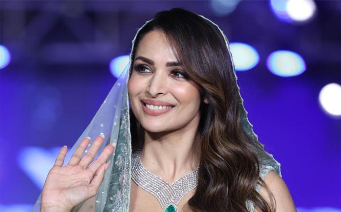 Malaika Arora Net Worth, Lifestyle, Age, Height, Weight, Family, Wiki ...